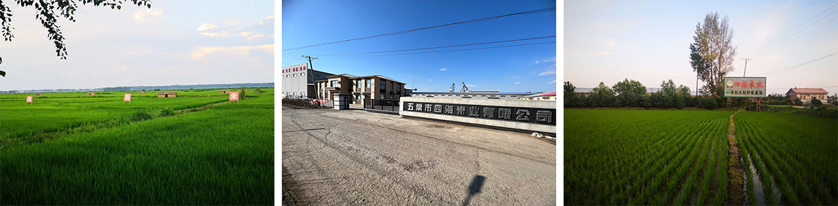 1686298066662554.jpg 2.jpg